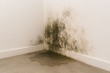 quel taux d'humidit&eacute; dans une maison