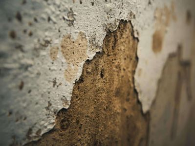 Expert humidit&eacute; maison