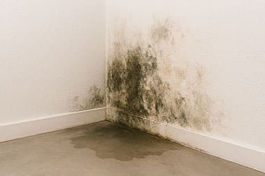 quel taux d'humidité dans une maison