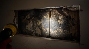 Vices cachés fréquents