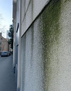 expertise humidité ascensionnelle